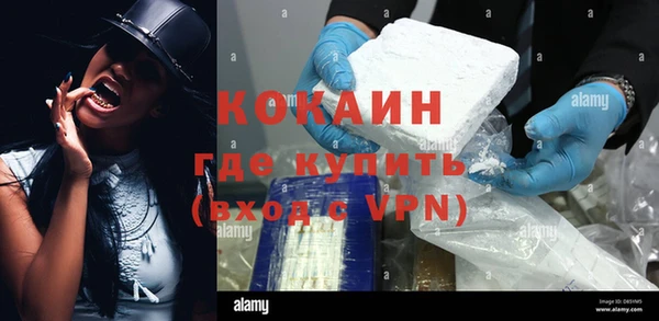 эйфоретик Богданович