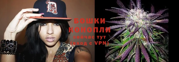 эйфоретик Богданович