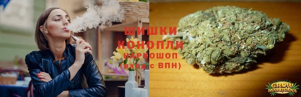 СК Богородск
