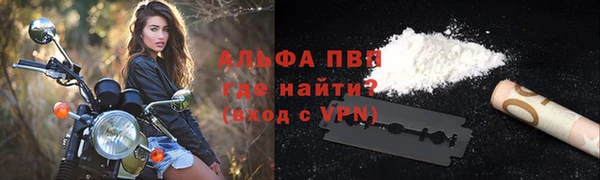 эйфоретик Богданович