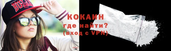 эйфоретик Богданович