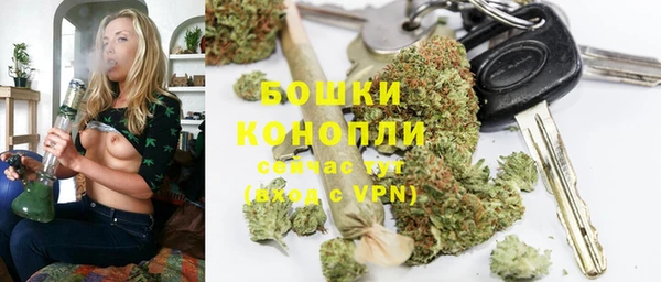 эйфоретик Богданович