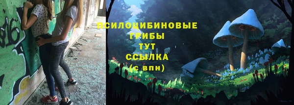эйфоретик Богданович