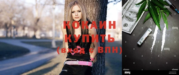 эйфоретик Богданович
