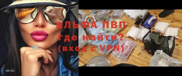 эйфоретик Богданович