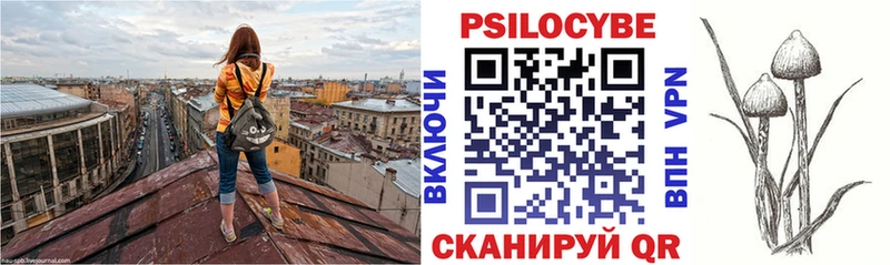 Псилоцибиновые грибы Psilocybine cubensis где можно купить наркотик Дрезна